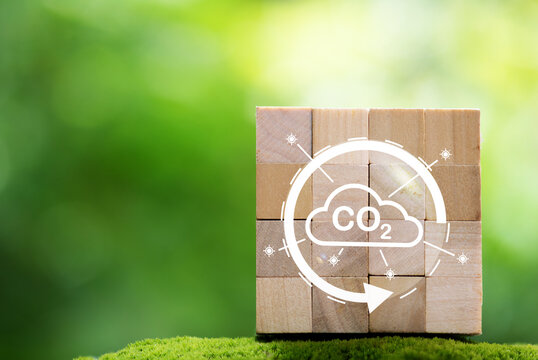 Icon CO2 woods on natural background.Carbon Dioxide Recycling concept.