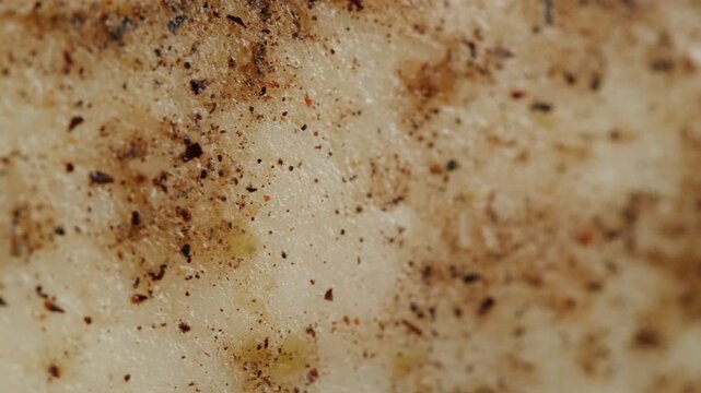 Salted lard bacon pork meat slicing in restaurant on kitchen, salo macro pork fat, black bread sandwich decorated with dill on white background close-up. Healthy fats. Healthy food. Vitamins