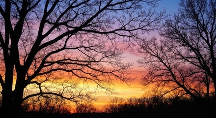 Fototapeta premium Silhouetted bare trees frame a colorful sunset with fiery orange, yellow, and blue skies
