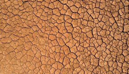 Dry cracked earth texture forming a natural polygon pattern in arid soil vector. Detailed desert ground background representing drought, climate change, dryness and environmental crisis. © Bediha Duru Öksüz
