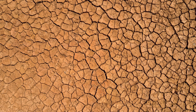 Dry cracked earth texture forming a natural polygon pattern in arid soil vector. Detailed desert ground background representing drought, climate change, dryness and environmental crisis.