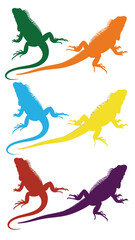 Obraz premium Vibrant Iguana Silhouettes in a Spectrum of Colors on a White Background
