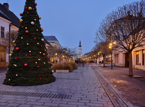 Trnava Slovakia Christmas Tree On Hlavna Ulica Near City Tower At Twilight