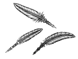 Obraz premium Gothic Raven Feather Quill Engraving Illustration