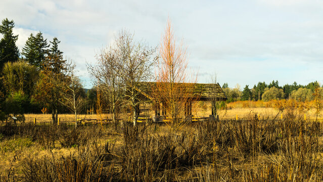 Graham Oaks Nature Park, Wilsonville, Oregon