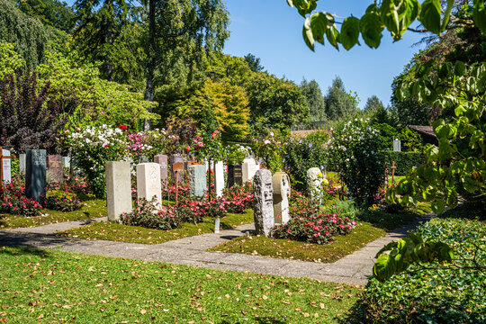 Garden and flowers in the peaceful and sunny Friedhof Fluntern cemetery, a peaceful memorial site in Zurich, Switzerland.