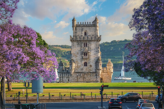View of Belem Tower surrounded by beautiful purple jacaranda flowers on the Tagus River during sunset in Lisbon. Belem, Lisbon, Portugal