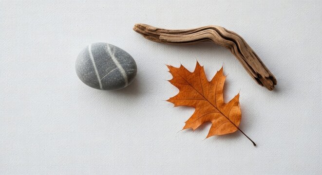 "Natural Objects" Images – Browse 4,791 Stock Photos, Vectors, and ...