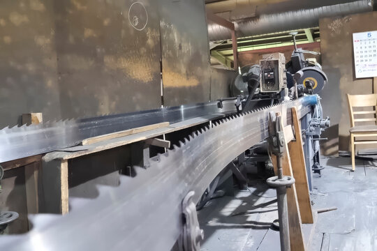 Sharpening the teeth of a band saw for a sawmill on a grinding machine with sharpening disk.