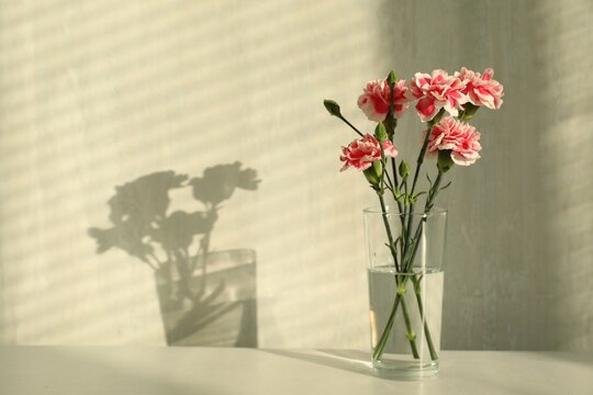 Beautiful carnation flowers in vase on light table indoors. Space for text