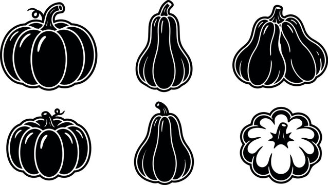 Black and white vector art of six pumpkins in various shapes and top view isolated on white background seasonal autumn vegetable icons set