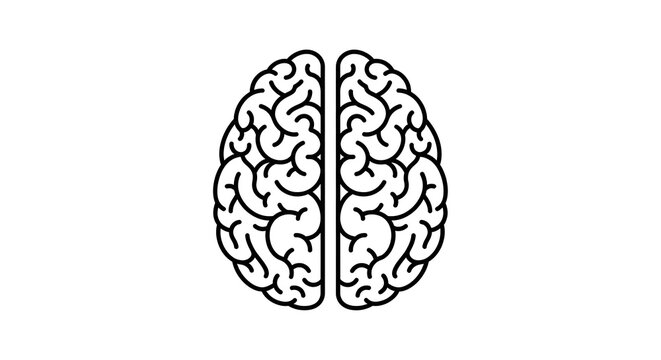 Two symmetrical brain halves illustrated in black lines against a white background