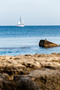 White sailboat blue sea seagull rock foreground coastal Mediterranean calm peaceful sailing Sicily