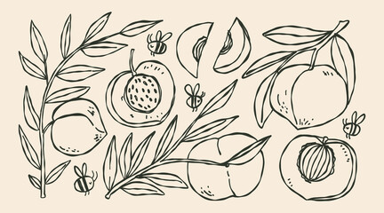 Doodle hand drawn whimsical set of Peach on a branch with texture. Bees, fruit branch with leaves. Fresh fruit from the garden. © Yelyzaveta Kovalenko