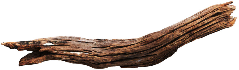 Weathered driftwood log with twisted trunk © Matheus