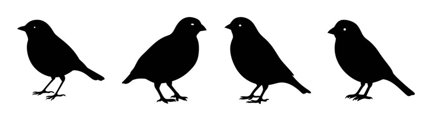 Obraz premium Silhouette birds vector image featuring black bird shapes standing in a row illustration