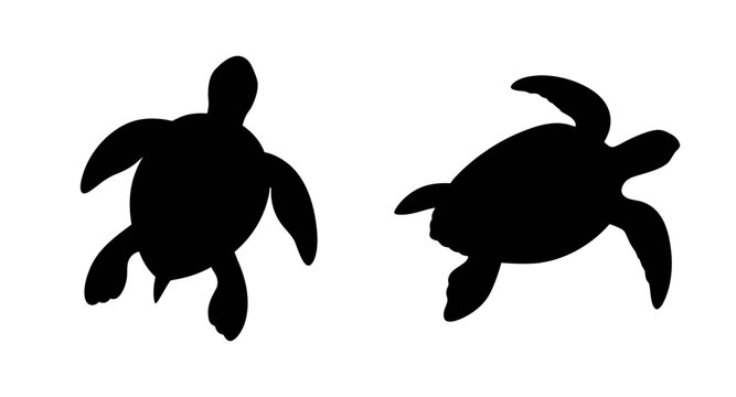 Sea turtle silhouette vector art: ocean life, swimming turtles, marine animal graphic design element