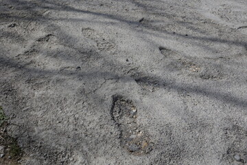 施工中のコンクリートに残った足跡と建設現場の痕跡。