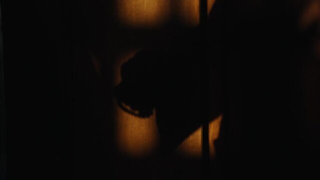 Hand creating dog shadow puppet on wall