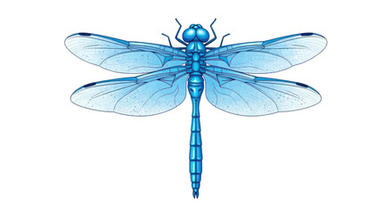 Vibrant Blue Dragonfly Illustration Isolated on White Background © purnama