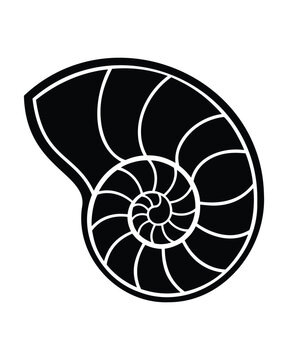 Outline nautilus shell vector silhouette