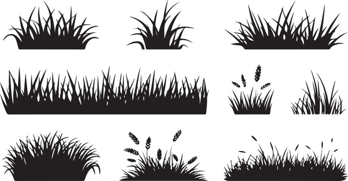 Collection of diverse grass and wheat silhouettes ideal for natural landscape designs
