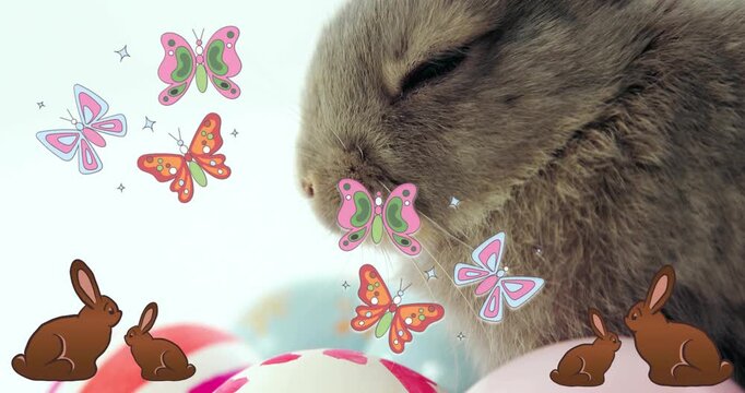 Rabbit moving top right, seeing animated butterfly and nosing pastel props, aiding marketing