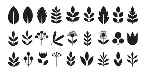Fototapeta premium Collection of nature elements leaves flowers berries vector icons set on white background