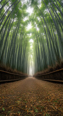 Fototapeta premium A Verdant Pathway Through a Serene Bamboo Forest with Sunlight Filtering Through the Canopy