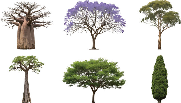Diverse Trees Collection Vector Illustration Set for Architectural Landscape Design, Nature Projects, and Environmental Graphics.