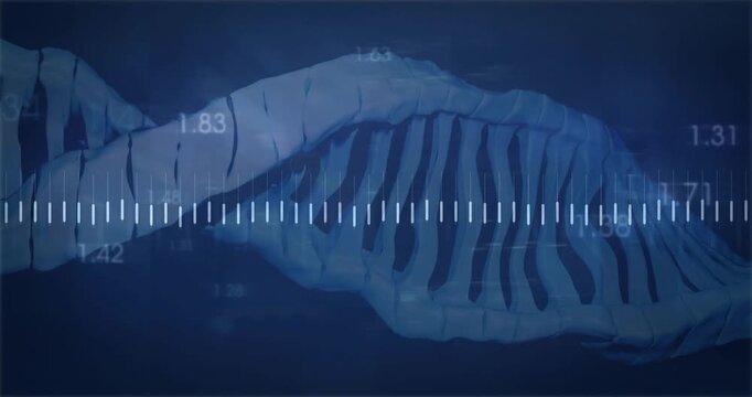 Double-helix ribbon undulating on deep-blue dashboard, showing white tick row, orange line, numbers