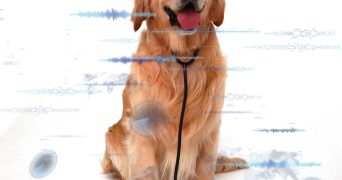 Golden retriever, camera pulling back, HUD waveforms sliding across dog revealing vet stethoscope