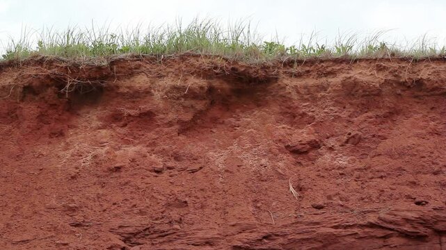 Seafront cliff showing red soil. PEI, Canada. HD.