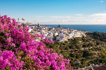 Bougainvillea flowers with view of Frigiliana white village in Malaga, Spain.