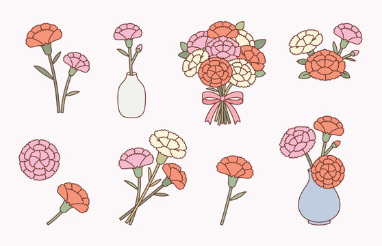 Carnation flower illustrations for Korean Parents&rsquo; Day celebration. Cute bouquet and single carnation flowers symbolizing gratitude and love for parents.