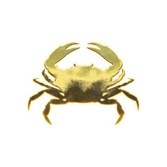 Shining golden Crab, alpha channel