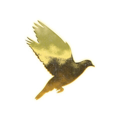 Fototapeta premium Shining golden Pigeon, alpha channel