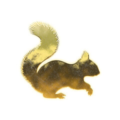 Obraz premium Shining golden Squirrel, alpha channel