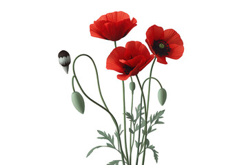 Naklejka premium Red poppy flowers with buds and green stems blooming, symbolizing remembrance day on transparent background
