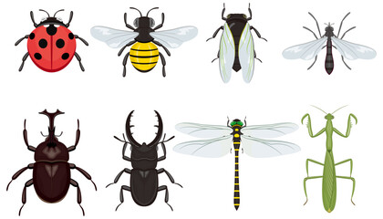 昆虫のアイコン＆スタンプ　イメージイラスト © hanabunta