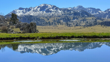 Peaceful Alpine Landscape with Lake Reflection