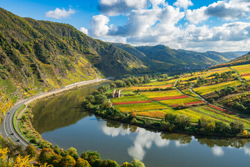 The Moselle loop near a beautiful Bremm village with Stuben Monastery ruins and surrounding vineyards in autumn season. Germany