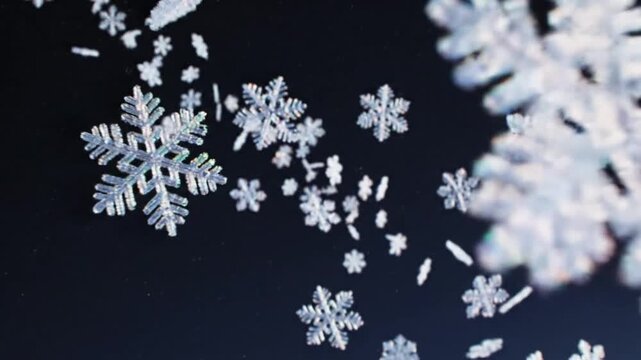 Graceful snowflakes slowly falling against a deep dark background, offering a serene winter aesthetic.