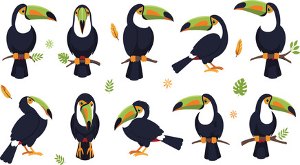 Fototapeta premium Toucan Bird Character Set with Colorful Beaks, Tropical Leaves and Perching Poses Cartoon Wildlife Vector Illustration Collection for Jungle and Nature Designs.