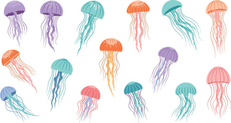 Colorful jellyfish character set with various species and long tentacles for marine biology and underwater sea life vector illustration. © MstSuborna
