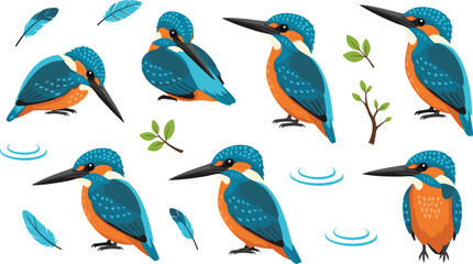Kingfisher Bird Character Set with Perching and Sitting Poses Featuring Colorful Feathers, Branches and Water Elements Cartoon Wildlife Vector Illustration Collection.