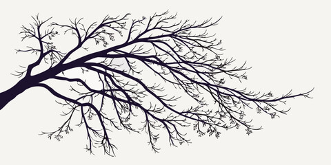 Fototapeta premium tree silhouette isolated on white