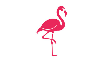 Pink Flamingo Standing on One Leg. © Abori