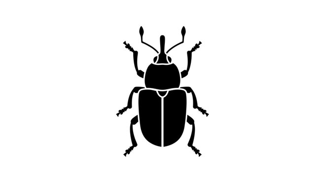 Black Beetle Silhouette Isolated on White.