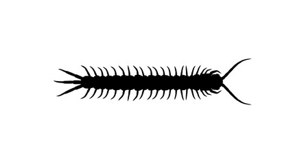 Centipede Silhouette Illustration on White Background.